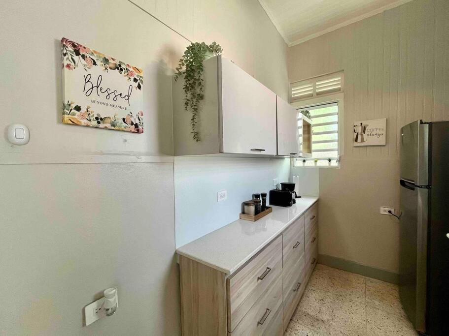 New! Antique House At Ponce别墅 外观 照片